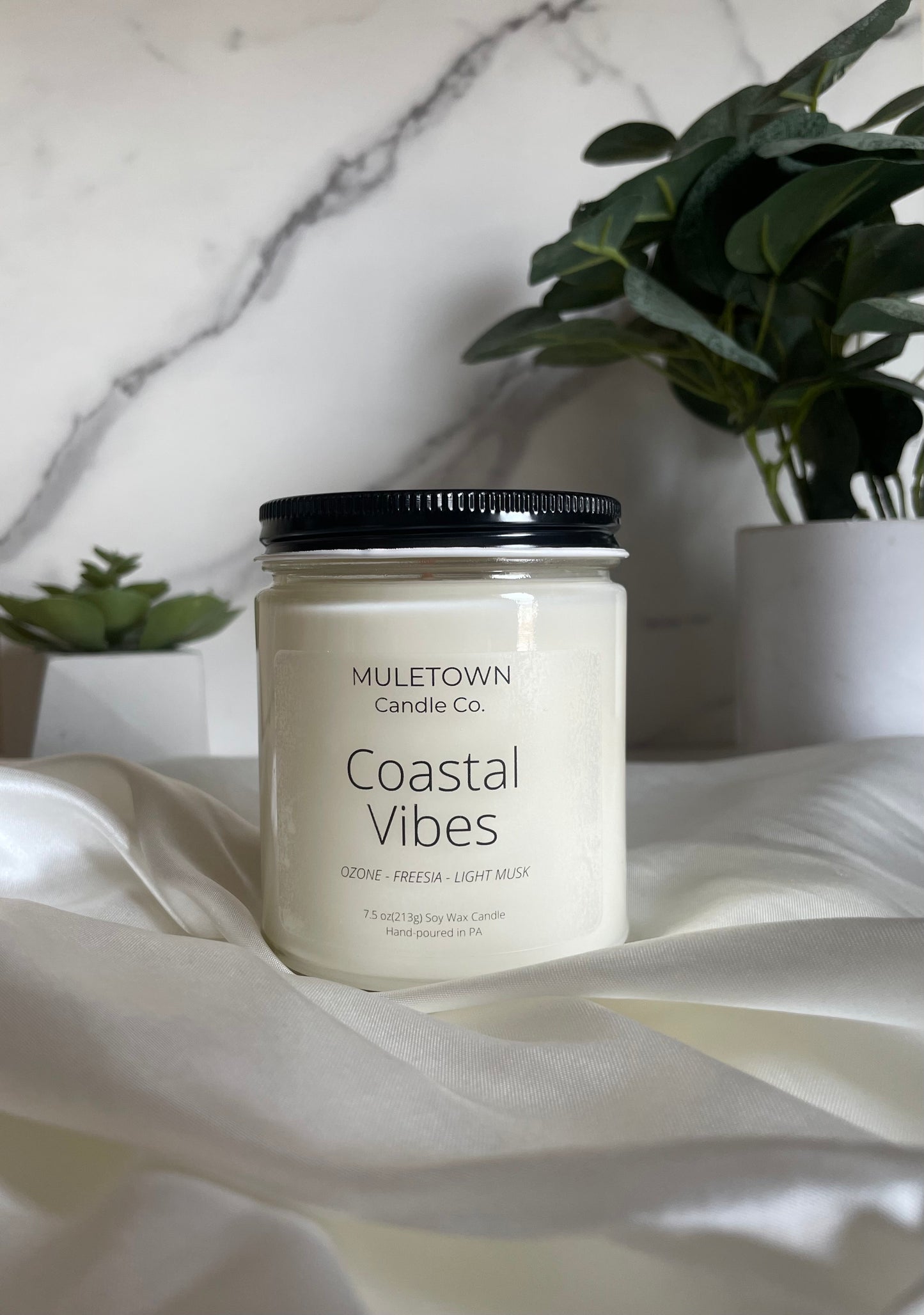 Coastal Vibes Candle