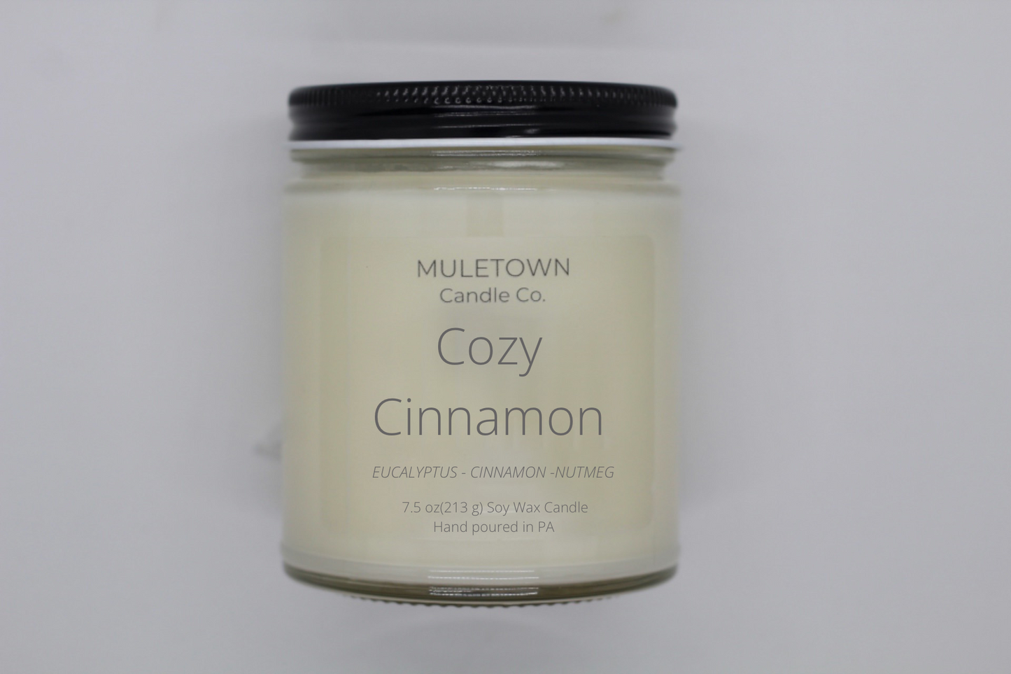 Cozy Cinnamon Candle