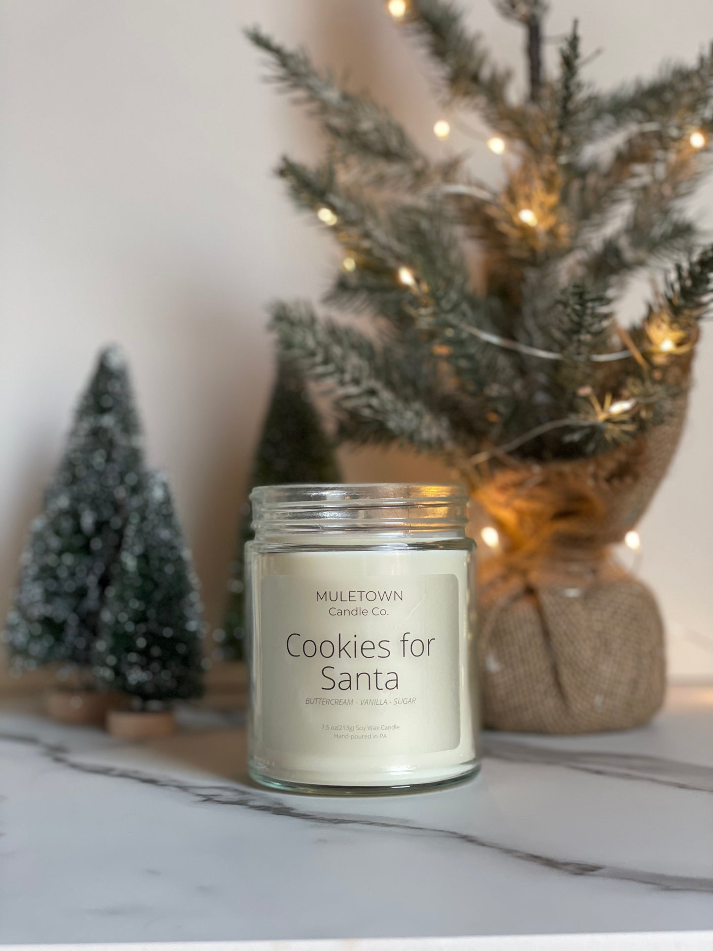Cookies for Santa Candle